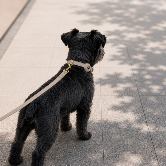 Braxton AirTag Dog Collar by Nina Woof