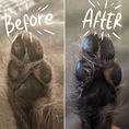 Load image into Gallery viewer, BRAXTON & CO Dog Paw Balm — Fragrance Free

