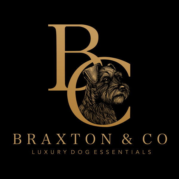 BRAXTON & CO