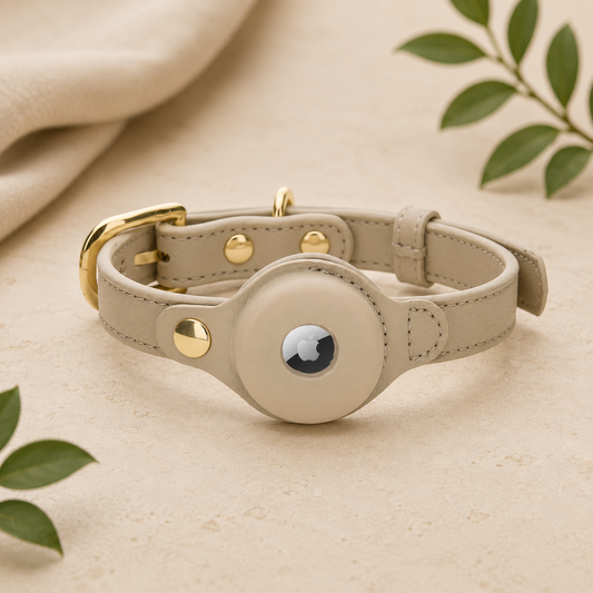 Braxton AirTag Dog Collar by Nina Woof