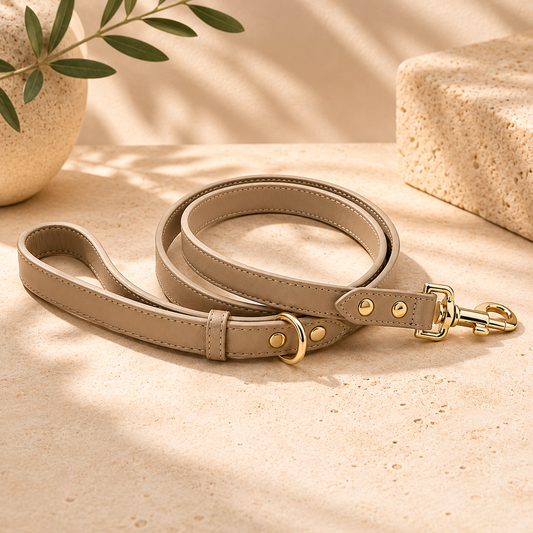 Braxton Vegan Leather Dog Leash by Nina Woof