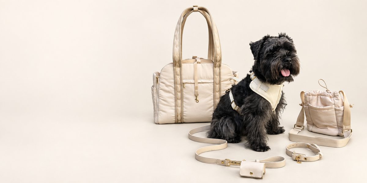 Braxton wearing the Bone harness beside the cream carrier and matching walking accessories on a soft cream background