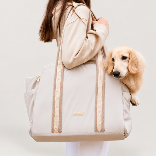 Convertible Carrier sand view on a pale warm-gray background