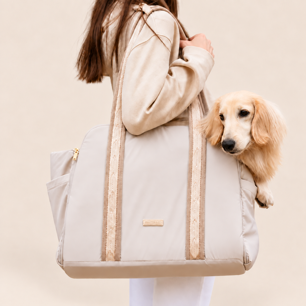 Sand carrier with dog on a matching warm cream background