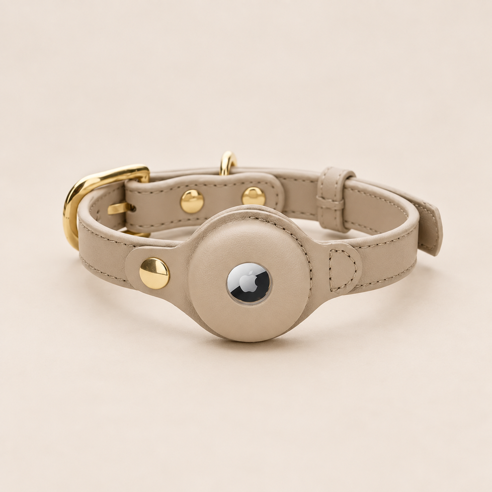 BRAXTON collar on a soft cream background