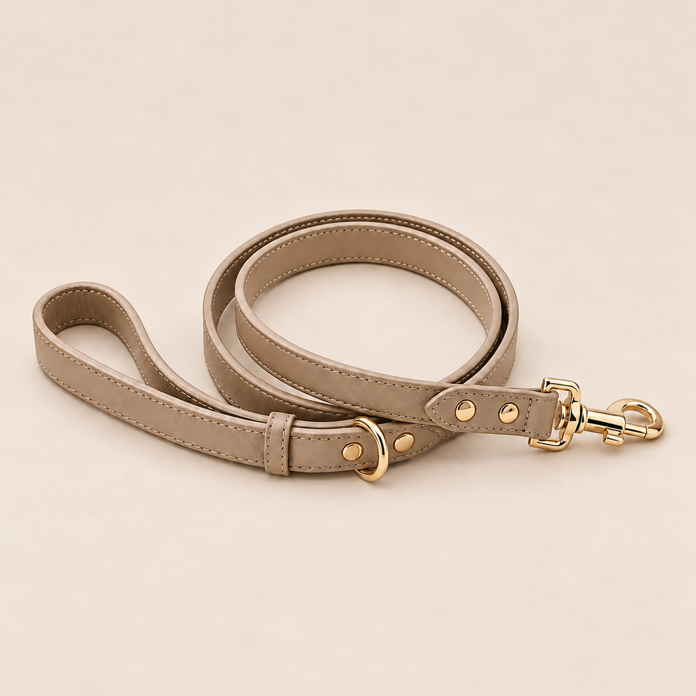Beige leash with gold hardware on a matching warm cream background
