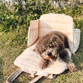 Load image into Gallery viewer, BRAXTON Everyday Convertible Carrier
