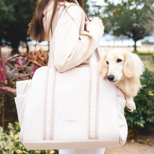 Braxton Everyday Convertible Carrier by Pups & Bubs