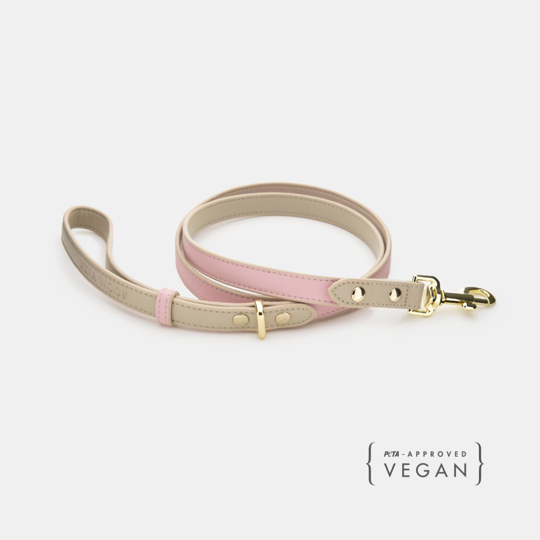 Leash 4FT - Vegan Leather - Cupertino