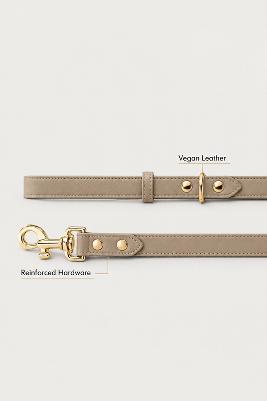 Vegan Leather Dog Leash detail view on a pale warm-gray background