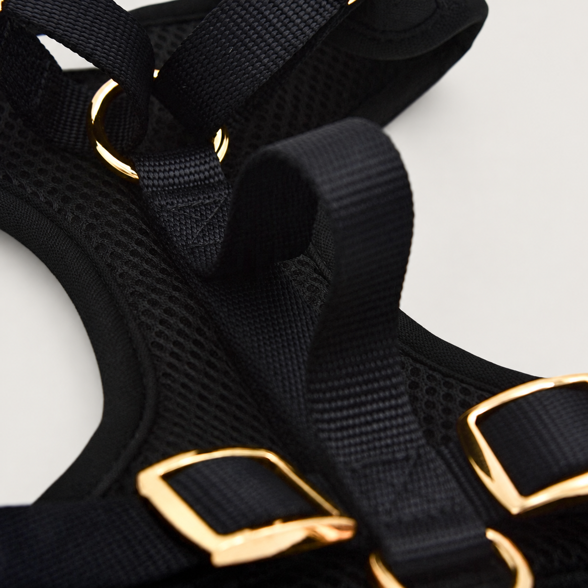 Elise Harness