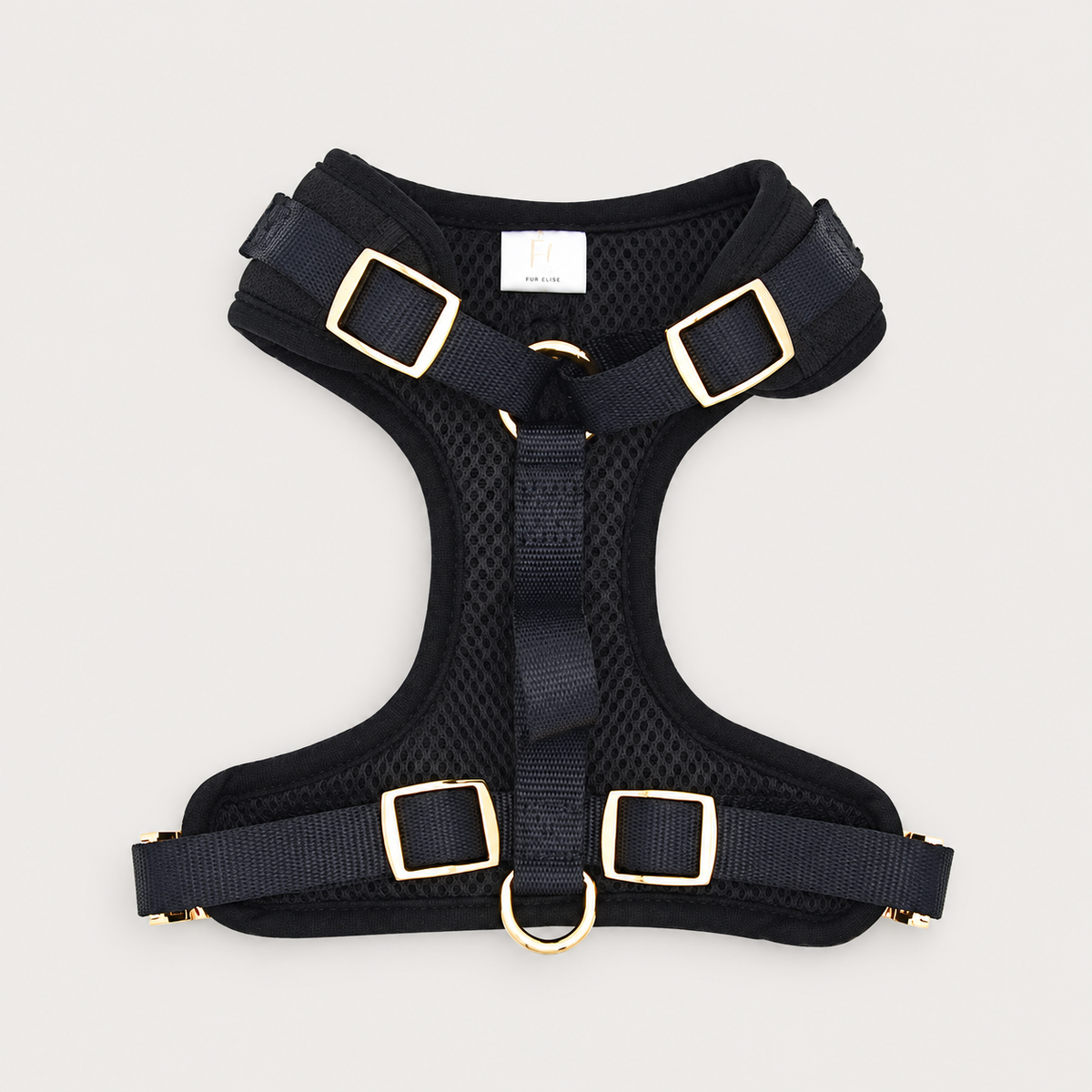 Elise Harness